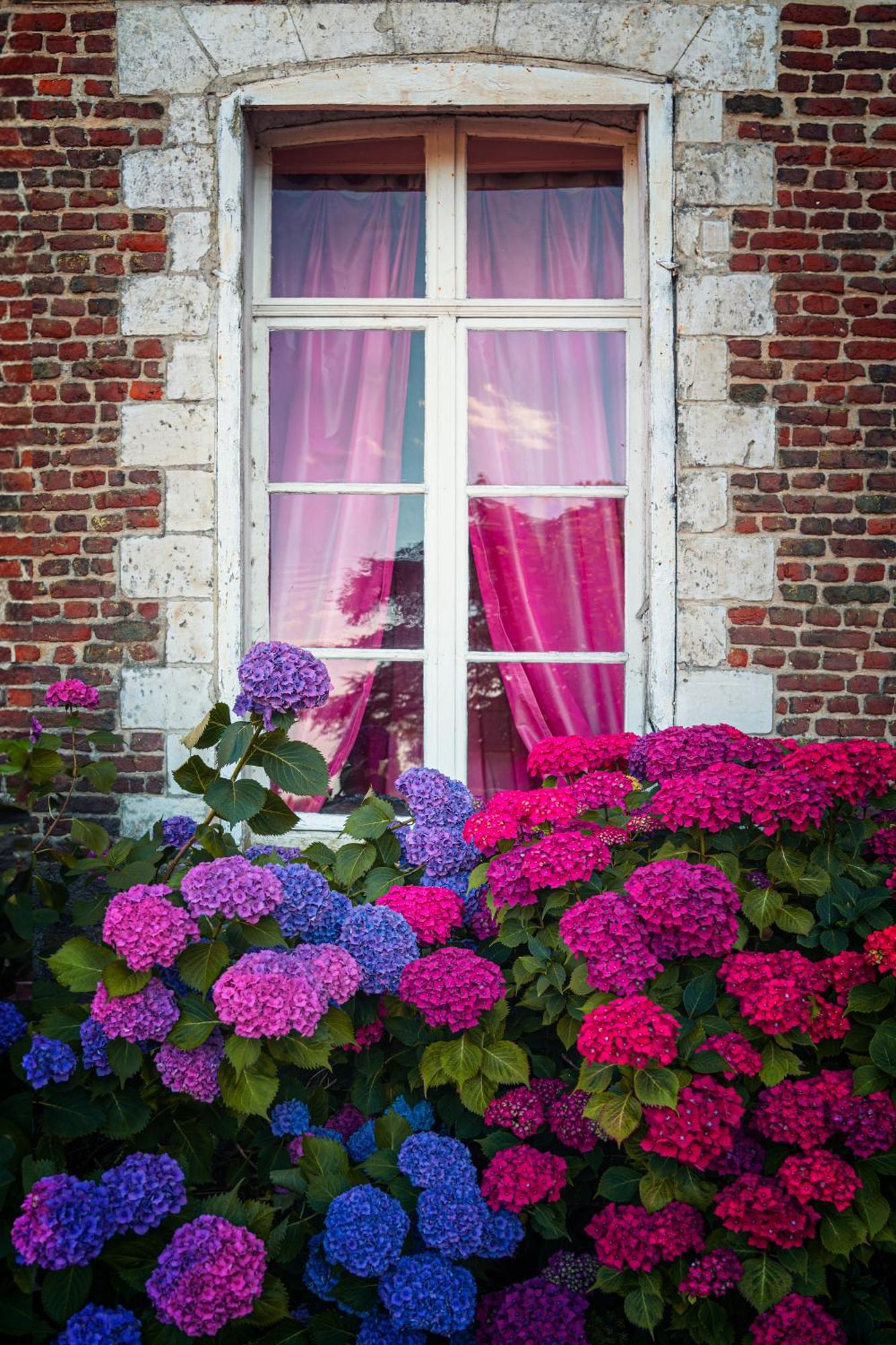 Chambres D'Hotes & Gites Du Chateau De Grand Rullecourt Exterior foto