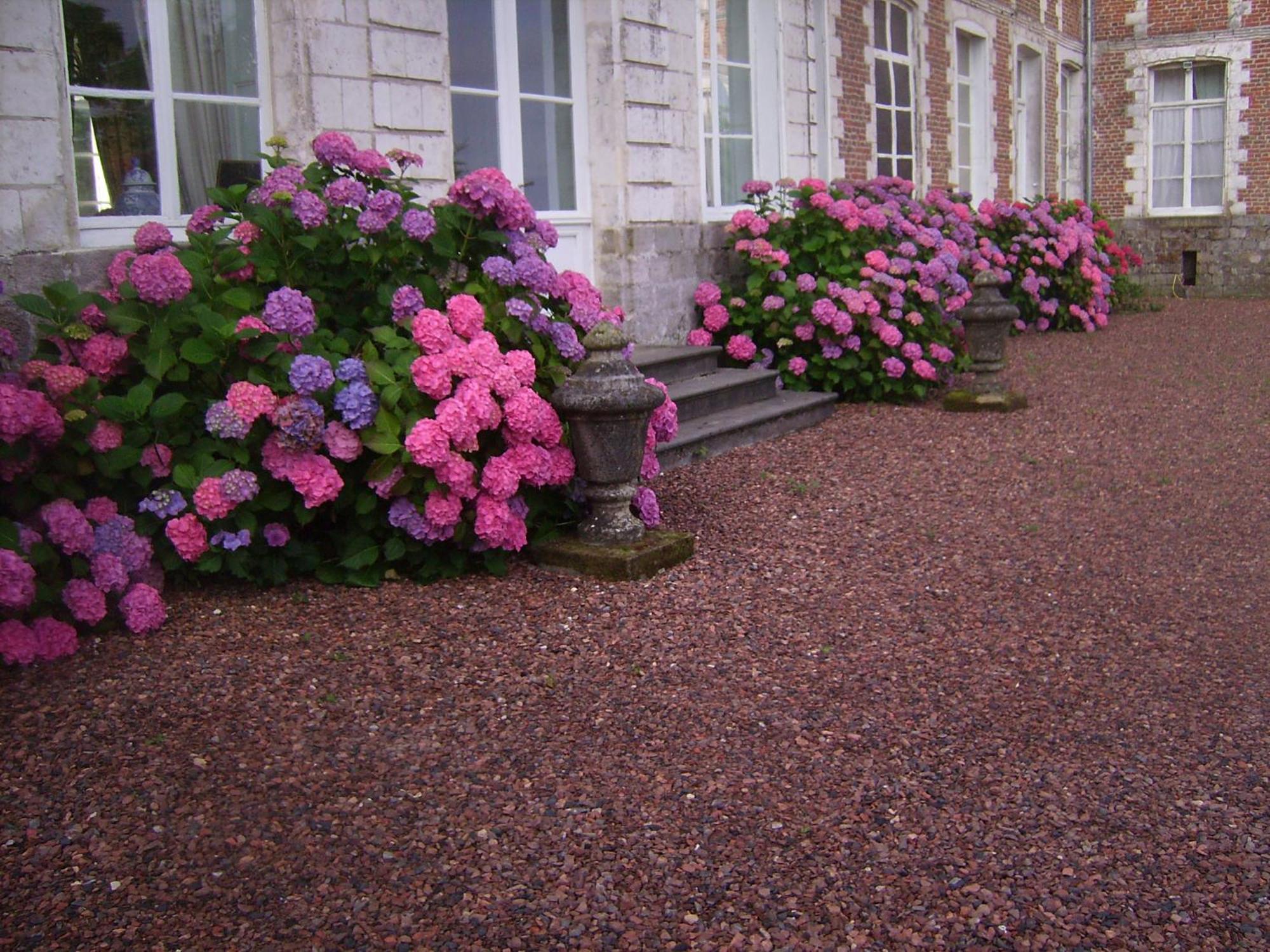 Chambres D'Hotes & Gites Du Chateau De Grand Rullecourt Exterior foto