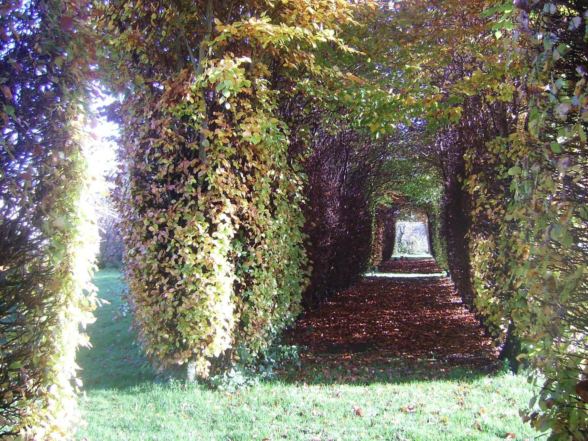 Chambres D'Hotes & Gites Du Chateau De Grand Rullecourt Exterior foto